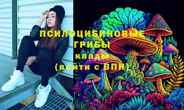 альфа пвп Новозыбков
