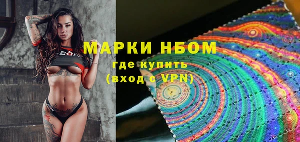 индика Нефтекумск